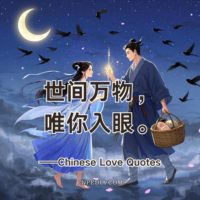 100 Chinese Love Quotes From Confucius to Couples Therapy - 世间万物，唯你入眼。In all the world, only you catch my eye.