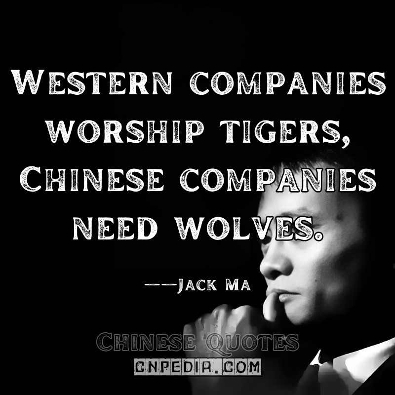 Western companies worship tigers; Chinese companies need wolves. ——Jack Ma（2015 Cross-Cultural Management Talk）